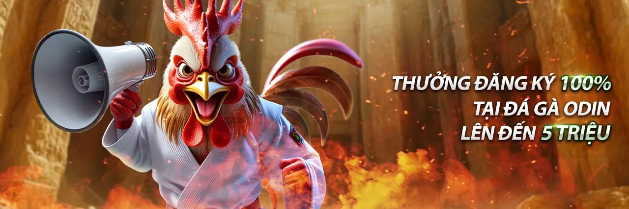 Tin tức nền tảng Sunwin chính thức 2026